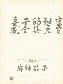 妻子的秘密电视剧全集免费观看高清