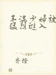 丰满少妇被粗大猛烈进入