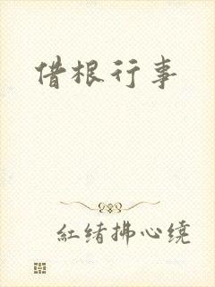 借根行事封面