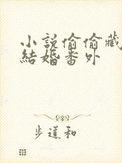 小说偷偷藏不住结婚番外封面