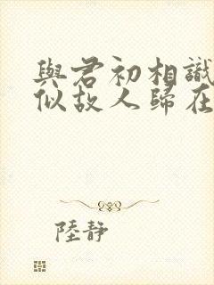 与君初相识·恰似故人归在线观看完整版封面