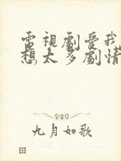 电视剧爱我就别想太多剧情介绍