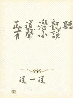 正道潜龙听书网有声小说封面