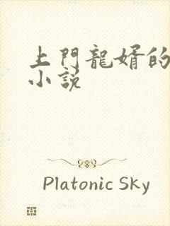 上门龙婿的有声小说