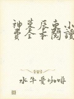 神墓辰东小说免费全本阅读