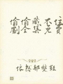 偷偷藏不住电视剧全集免费看