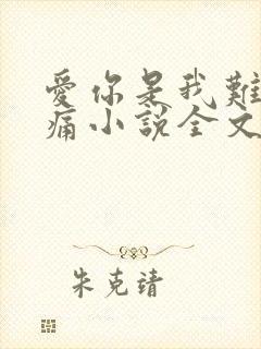 爱你是我难言的痛小说全文免费阅读