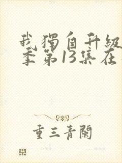 我独自升级第二季第13集在线观看