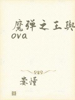 魔弹之王与战姬ova