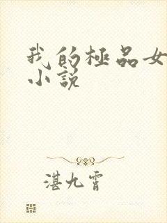 我的极品女教师小说封面