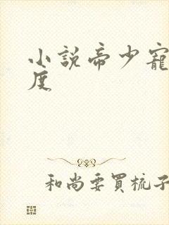 小说帝少宠妻无度