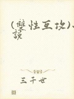 (双性互攻)小说