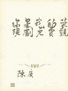 你是我的荣耀电视剧免费观看高清