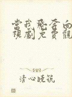 当我飞奔向你电视剧免费观看24集高清