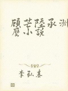 顾芒陆承洲是什么小说封面