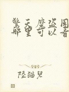 惊天魔盗团3在哪里可以看
