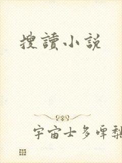 搜读小说