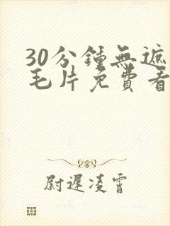 30分钟无遮挡毛片免费看