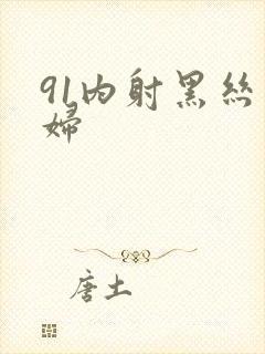 91内射黑丝少妇