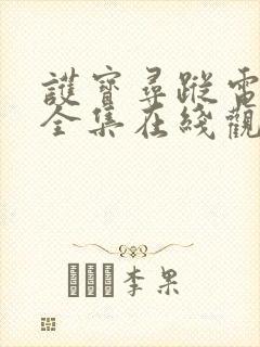 护宝寻踪电视剧全集在线观看免费