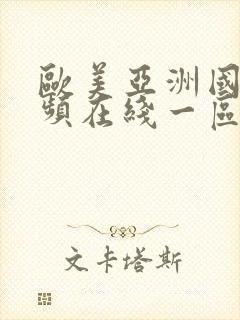 欧美亚洲国产视频在线一区