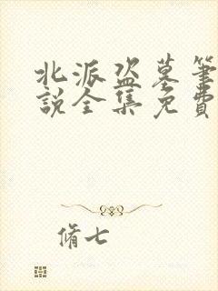 北派盗墓笔记小说全集免费看