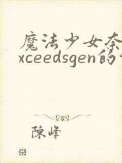 魔法少女奈叶exceedsgen的介绍