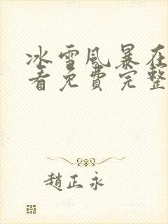 冰雪风暴在线观看免费完整版封面