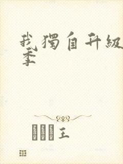 我独自升级第三季