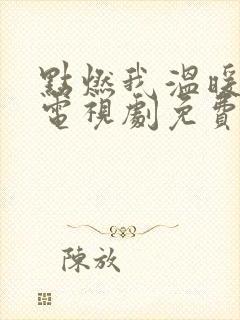 点燃我温暖你 电视剧免费观看封面