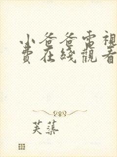 小爸爸电视剧免费在线观看