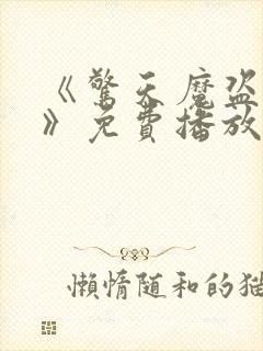 《惊天魔盗团三》免费播放