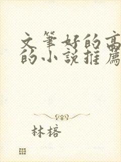 文笔好的高质量的小说推荐