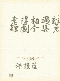 幸得相遇离婚时短剧全集免费