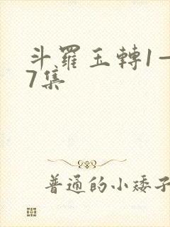 斗罗玉转1—37集