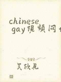 chinese gay视频网站