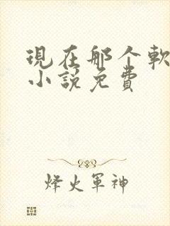 现在那个软件看小说免费封面