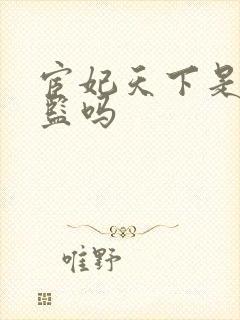 宦妃天下是真太监吗