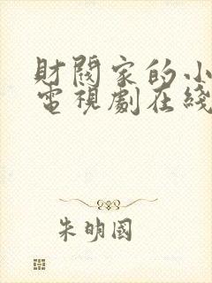 财阀家的小儿子电视剧在线播放