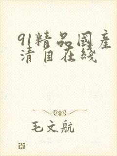 91精品国产高清自在线
