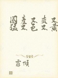 国产又爽又粗又猛又色又黄的视频