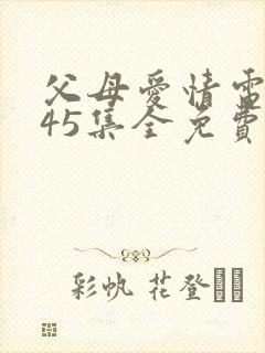 父母爱情电视剧45集全免费观看