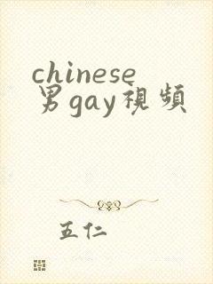 chinese男gay视频