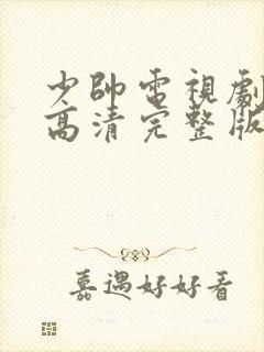 少帅电视剧免费高清完整版在线看封面