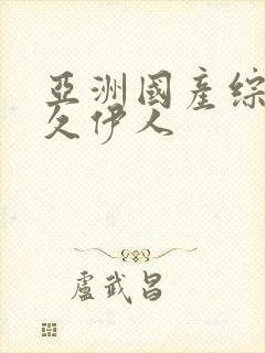 亚洲国产综合久久伊人