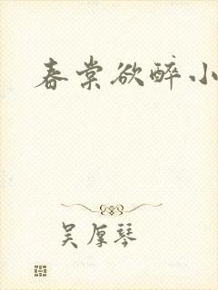 春棠欲醉小说封面