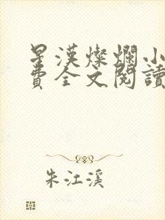 星汉灿烂小说免费全文阅读