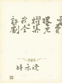 许我耀眼 电视剧全集免费观看