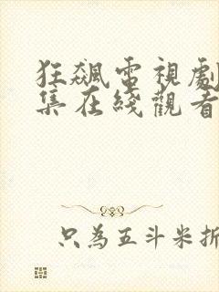 狂飙电视剧40集在线观看免费追剧网封面