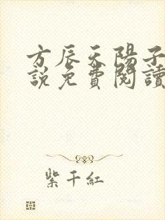 方辰天阳子的小说免费阅读封面